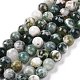 Chapelets de perles en agate d'arbre naturelle(G-K194-10mm-02)-2