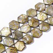 Drawbench Freshwater Shell Beads Strands, Dyed, Hexagon, Peru, 18~20x17.5~18.5x3.5~5.5mm, Hole: 1mm, about 21pcs/Strand, 15.16 inch~15.98 inch(SHEL-T014-013D)