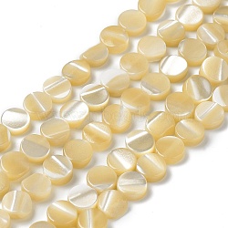 Natural Trochus Shell Beads Strands, Flat Round, Goldenrod, 6x2.3mm, Hole: 0.5mm, about 66pcs/strand, 15.35''(39cm)(BSHE-P033-02)