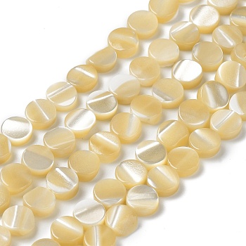 Natural Trochus Shell Beads Strands, Flat Round, Goldenrod, 6x2.3mm, Hole: 0.5mm, about 66pcs/strand, 15.35''(39cm)
