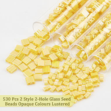 530Pcs 2 Style 2-Hole Glass Seed Beads(SEED-NB0001-74)-4