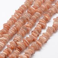 Natural Sunstone Beads Strands, Nuggets, 6~17x2~5mm, Hole: 1mm, 15.3 inch(39cm)(G-F521-08)