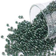 TOHO Round Seed Beads, Japanese Seed Beads, (373) Inside Color Black Diamond/Dk Green, 11/0, 2.2mm, Hole: 0.8mm, about 1110pcs/bottle, 10g/bottle(SEED-JPTR11-0373)