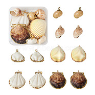 12Pcs 6 Style Shell Pendants, with Brass Findings, Shell & Conch, Golden & Light Gold, 20~51x21~48x4~27mm, Hole: 1.6~2.5mm, 2pcs/style(DIY-CD0001-39)