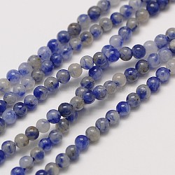 Natural Gemstone Blue Spot Jasper Round Beads Strands, 3mm, Hole: 0.8mm; about 126pcs/strand, 16inches(G-A130-3mm-21)