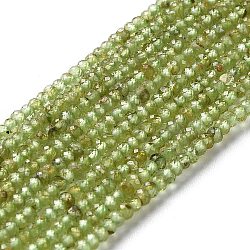 Natural Peridot Beads Strands, Faceted, Rondelle, 2.5x2mm, Hole: 0.6mm, about 220~224pcs/strand, 15.16''~15.75''(38.5~40cm)(G-M421-A01-01)