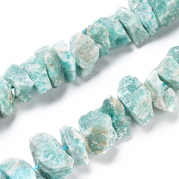 Natural Amazonite Beads Strands, Rough Raw Stone, Nuggets, 13~21x5~13mm, Hole: 1.2mm, about 23~24pcs/strand, 7.87 inch~8.26  inch(20~21cm)