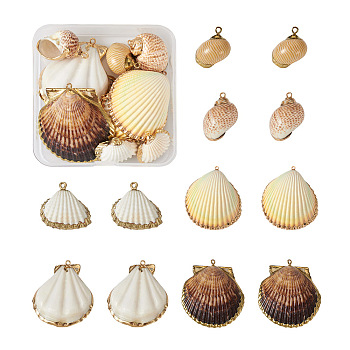 12Pcs 6 Style Shell Pendants, with Brass Findings, Shell & Conch, Golden & Light Gold, 20~51x21~48x4~27mm, Hole: 1.6~2.5mm, 2pcs/style
