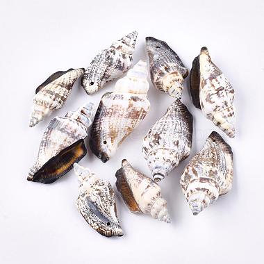 Natural Spiral Shell Beads(SSHEL-R036-18)-2
