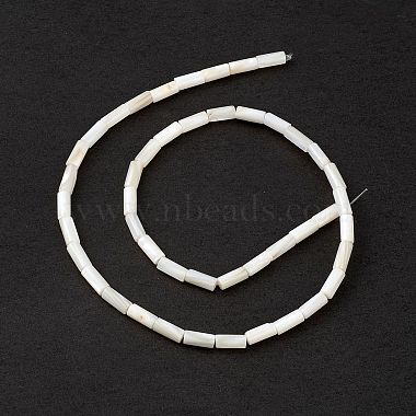 Natural Freshwater Shell Dyed Beads Strands(SHEL-M018-11-12)-3