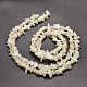 Natural White Mother of Pearl Shell Chip Bead Strands(X-G-M205-63)-2