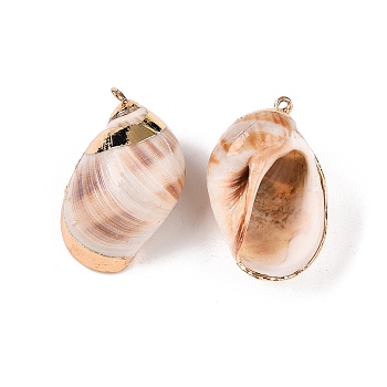 Natural Sea Shell Pendants, Shell Shaped Charms with Golden Tone Iron Loops, PeachPuff, 25~41x17~27x11~20mm, Hole: 1.5~1.8mm