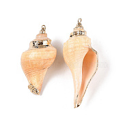 Natural Conch Shell Big Pendants, Shell Shaped Charms with Golden Tone Iron Loops, PeachPuff, 40~68.5x21~33x20~30mm, Hole: 1.4~1.8mm(SSHEL-N038-24A)