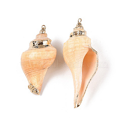 Natural Conch Shell Big Pendants, Shell Shaped Charms with Golden Tone Iron Loops, PeachPuff, 40~68.5x21~33x20~30mm, Hole: 1.4~1.8mm(SSHEL-N038-24A)