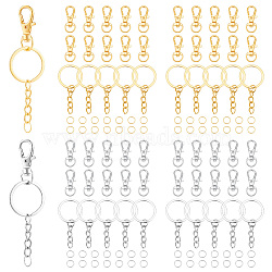 Elite DIY Keychain Making Kit, Including Alloy Swivel Lobster Claw Clasps, Iron Split Key Rings & Jump Rings, Platinum & Golden, 216Pcs/box(DIY-PH0010-13)