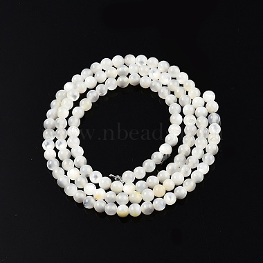 Natural White Shell Bead Strands(X-SSHEL-N003-144C-01)-2