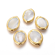 Shell Beads, with Brass Findings, Oval, Floral White, Golden, 19.5~21x14.5~16.5x3.5~5mm, Hole: 0.6mm(BSHE-F008-01G)