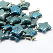 Star Dyed Natural Gemstone Pendants, with Platinum Tone Brass Findings, 22~23x20~24x5~7mm, Hole: 2x7mm(G-Q367-10)