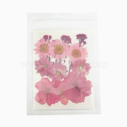 Pressed Dried Flowers, for Cellphone, Photo Frame, Scrapbooking DIY and Resin Art Floral Decors, Pale Violet Red, 99x74x1mm(DIY-B070-01A)