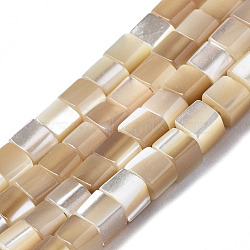 Natural Trochid Shell/Trochus Shell Beads Strands, Cube, BurlyWood, 3x3x3mm, Hole: 0.7mm, about 126~127pcs/strand, 15.75 inch(40cm)(SSHEL-S266-009)