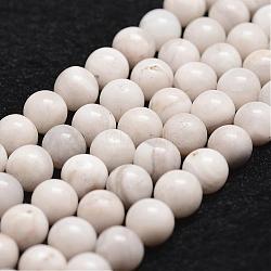 Natural White Crazy Lace Agate Bead Strands, Round, 10mm, Hole: 1mm, about 37pcs/strand, 14.9 inch~15.1 inch(G-D840-55-10mm)