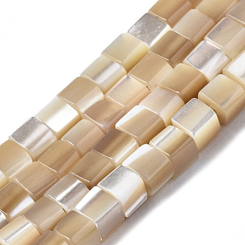 Natural Trochid Shell/Trochus Shell Beads Strands, Cube, BurlyWood, 3x3x3mm, Hole: 0.7mm, about 126~127pcs/strand, 15.75 inch(40cm)