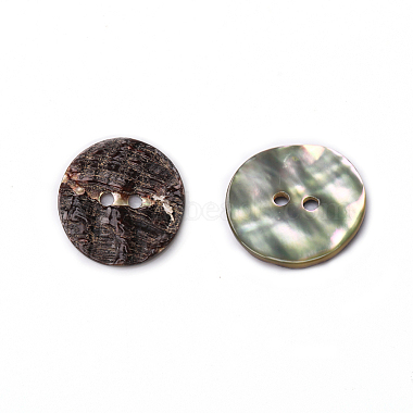 Abalone Shell/Paua Shell(BSHE-I011-04A)-1