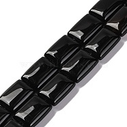 Natural Black Onyx(Dyed & Heated) Beads Strands, Rectangle, 18x13.5x5.5mm, Hole: 1.2mm, about 22pcs/strand, 15.75 inch(40cm)(G-T047-B29-01)