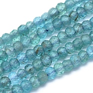 Natural Apatite Beads Strands, Rondelle, Faceted, 3x2mm, Hole: 0.5mm, about 194pcs/strand, 15.3 inch(39cm)(G-O172-04B)