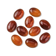 Natural Red Agate Cabochons, Dyed & Heated, Oval, Chocolate, 18x13x5mm(G-L601-03A-01)