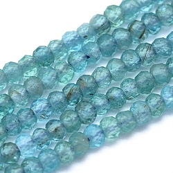 Natural Apatite Beads Strands, Rondelle, Faceted, 3x2mm, Hole: 0.5mm, about 194pcs/strand, 15.3 inch(39cm)(G-O172-04B)