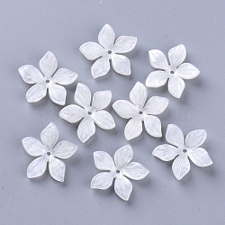5-Petal Cellulose Acetate(Resin) Bead Caps, Flower, Creamy White, 20.5~21.5x22~23x4.5mm, Hole: 1.2mm(KY-N006-02-B02)