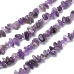 Natural Amethyst Chip Beads Strands, Dyed, 5~8x5~8mm, Hole: 1mm, about 31.5 inch(G-YW0002-09)