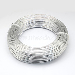 Anodized Aluminum Wire, Bendable Metal Craft Wire, Flexible Craft Wire, for Beading Jewelry Craft Making, Silver, 22 Gauge, 0.6mm, 280m/250g(918.6 Feet/250g)(AW-S001-0.6mm-01)