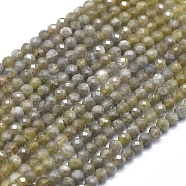 Natural Tanzanite Beads  Strands, Faceted, Round, 4mm, Hole: 0.5mm, about 104pcs/strand, 15.35 inch(39cm)(G-D0013-17)