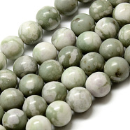 Natural Peace Jade Beads Strands, Round, 8~8.5mm, Hole: 1mm, about 47pcs/strand, 15.5 inch(G-Q462-50-8mm)