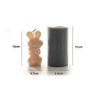 Easter Rabbit DIY Acrylic Candle Molds, for Scented Candle Making, Gray, 6.6x11cm(PW-WG43124-01)
