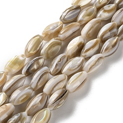 Natural Freshwater Shell Beads Strands, Rice, 11~11.5x5~6mm, Hole: 1mm, about 34pcs/strand, 14.96''(38cm)(SSHEL-B002-13)