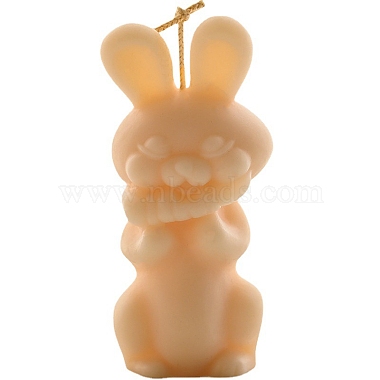 Пасхальный кролик своими руками акриловые формы для свечей(PW-WG43124-01)-4
