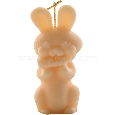 Moldes acrílicos para velas diy de conejo de Pascua(PW-WG43124-01)-4