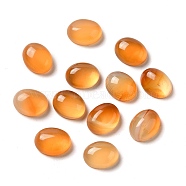 Natural Red Agate Cabochons, Oval, 10x8x4mm(G-P521-03B-01)