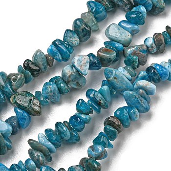 Natural Apatite Beads Strands, Chip, 8x5mm, Hole: 0.6mm, 31.50''(80cm)