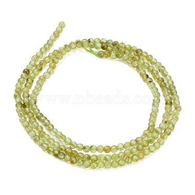 Natural Peridot Beads Strands(G-A322-A07-2mm)-5