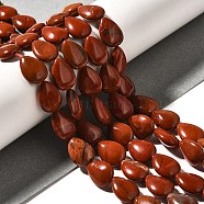 Natural Red Jasper Beads Strands, Teardrop, 13.5~14x10~10.5x5mm, Hole: 1mm, about 27~28pcs/strand, 37.3~38.3cm(G-I377-A25)