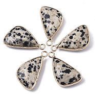 Natural Dalmatian Jasper Pendants, with Light Gold Plated Brass Edge and Loop, Triangle, Faceted, 25~26x16x6mm, Hole: 2.5mm(G-N326-32F)