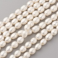 Natural Cultured Freshwater Pearl Beads Strands, Oval, Old Lace, 9~10x7~8mm, Hole: 0.5mm, about 40~41pcs/strand, 14.9 inch(38cm)(PEAR-G007-23)