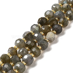 Natural Labradorite Beads Strands, with Seed Beads, Faceted Rondelle, 7~8x5~6mm, Hole: 1mm, about 45~46pcs/strand, 14.57''~14.96''(37~38cm)(G-P508-A20-01)