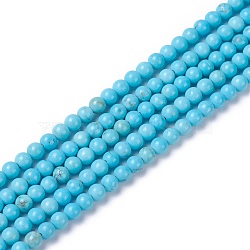 Natural Magnesite Beads Strands, Dyed & Heated, Round, 3mm, Hole: 0.5mm, about 127~129pcs/strand, 15.6~15.7 inch(39.8~40.1cm)(G-G786-01B)