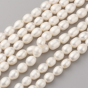Natural Cultured Freshwater Pearl Beads Strands, Oval, Old Lace, 9~10x7~8mm, Hole: 0.5mm, about 40~41pcs/strand, 14.9 inch(38cm)