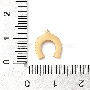 304 Stainless Steel Charms(STAS-K263-05G-02)-3